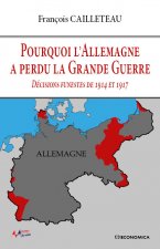 Pourquoi l'Allemagne a perdu la Grande guerre - décisions funestes de 1914 et 1917