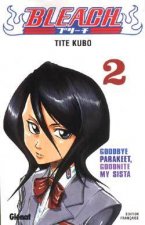 Bleach - Tome 02