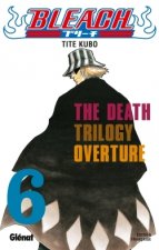 Bleach - Tome 06