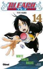 Bleach - Tome 14