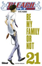 Bleach - Tome 21