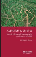 Capitalismes agraires - Économie politique de la grande plan