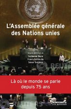 L'Assemblée générale des Nations unies - Une institution pol