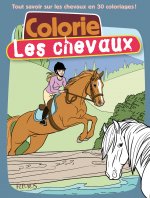 SORCELLERIE (LA)