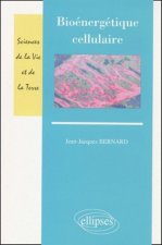 Bioénergétique cellulaire