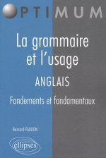 La grammaire et l'usage. Anglais