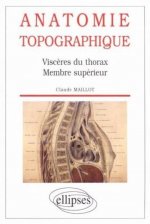 Anatomie topographique - Viscères du thorax - Membre supérieur