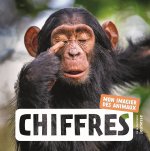 Chiffres