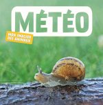 Météo