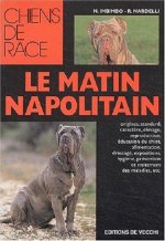 MATIN NAPOLITAIN