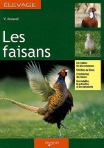 FAISANS