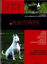 BULL TERRIER