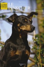 PINSCHER