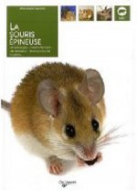 SOURIS EPINEUSE