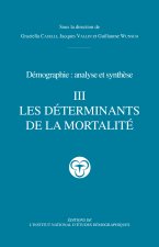 Démographie - analyse et synthèse