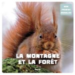 La montagne et la foret