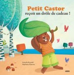 Petit castor recoit un drole de cadeau (coll.mes ptits albums)