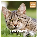 LES CHATS