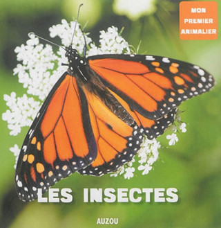 LES INSECTES