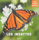 LES INSECTES