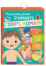 MA PREMIERE POCHETTE D'AIMANTS CORPS HUMAIN