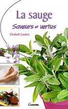 La sauge - saveurs et vertus