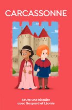 Carcassonne, toute une histoire !