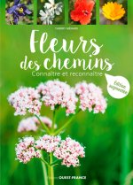 Fleurs des chemins