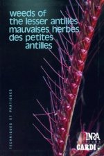 Mauvaises herbes des petites Antilles/Weeds of the lesser Antilles