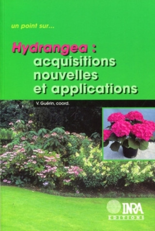 Hydrangea