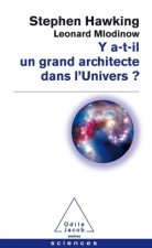 Y a-t'il un grand architecte dans l'univers