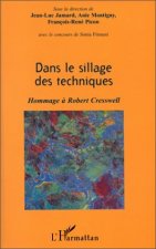 DANS LE SILLAGE DES TECHNIQUES