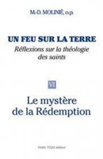 Un feu sur la terre - Tome 6