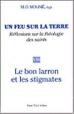 Un feu sur la terre - Tome 8