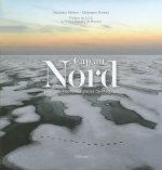 Cap au Nord navigation dans les glaces de l'Arctique