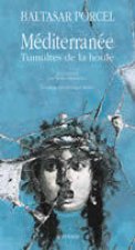 Mediterranee - tumultes de la houle