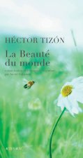 Beaute du monde (la)