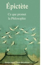 Ce que promet la philosophie