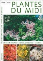 Plantes du Midi - guide de recherche, manuel d'emploi