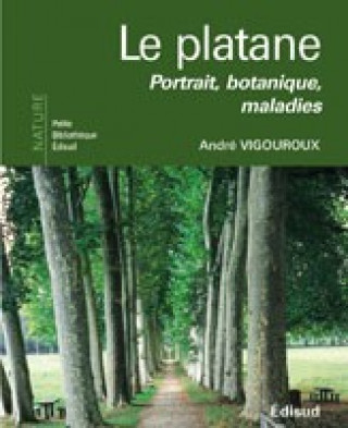 Le platane - portrait, botanique, maladies