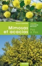 Mimosas et acacias, pas à pas