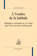 À l'ombre de la kabbale - philologie et ésotérisme au XVIIe siècle dans l'oeuvre de Knorr de Rosenroth