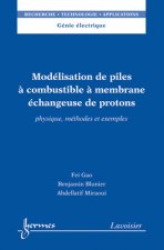 Modélisation de piles à combustibles à membrane échangeuse de protons - physique, méthodes et exemples
