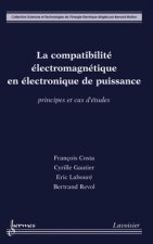 La compatibilité électromagnétique en électronique de puissance - principes et cas d'études