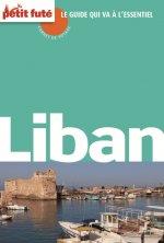 LIBAN CARNET DE VOYAGE 2012 PETIT FUTE