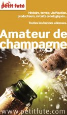 guide de l'amateur de champagne 2013 petit fute