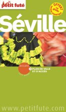 seville 2013 petit fute + plan