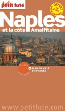 naples + plan 2013-2014 petit fute