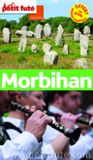 MORBIHAN 2013-2014 PETIT FUTE