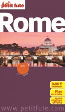 ROME 2014 PETIT FUTE + PLAN + CE GUIDE OFFERT EN VERSION NUMERIQUE
